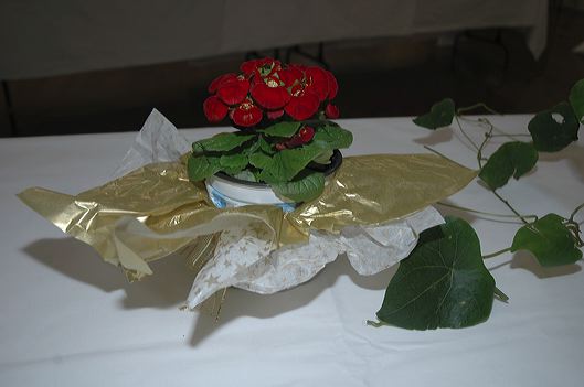dsc_7121.jpg