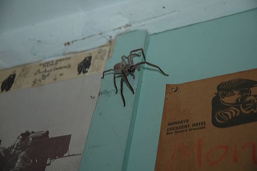 dsc_7046.jpg