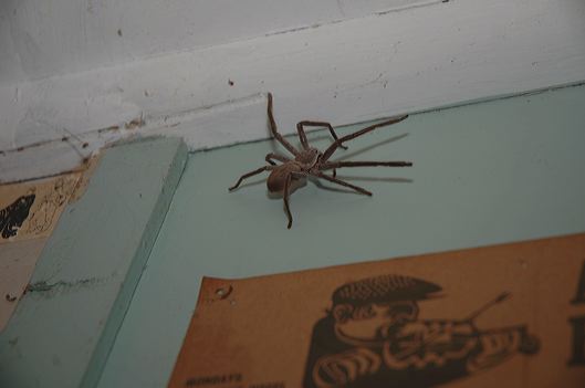 dsc_7047.jpg