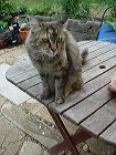 dsc00275