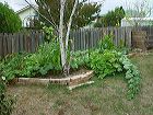 dsc00287