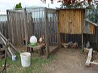 dsc00289