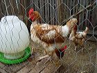 dsc00290